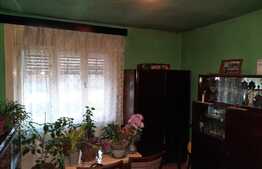 Ocazie! Casa individuala de vanzare, teren mare, in Mosnita Noua! 