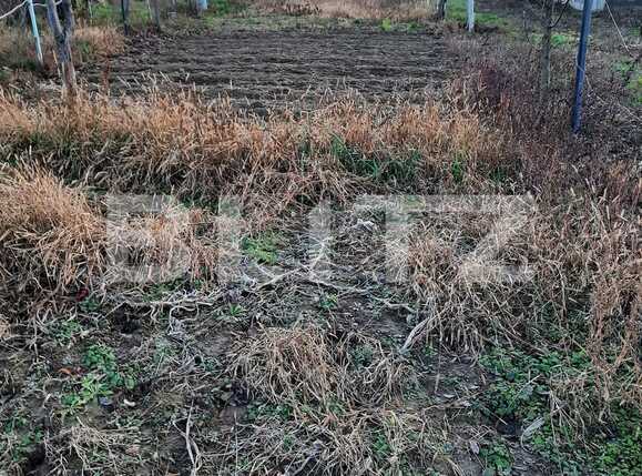 Casa de vânzare 2 camere Mosnita Noua - 76336CV | BLITZ Timișoara | Poza7