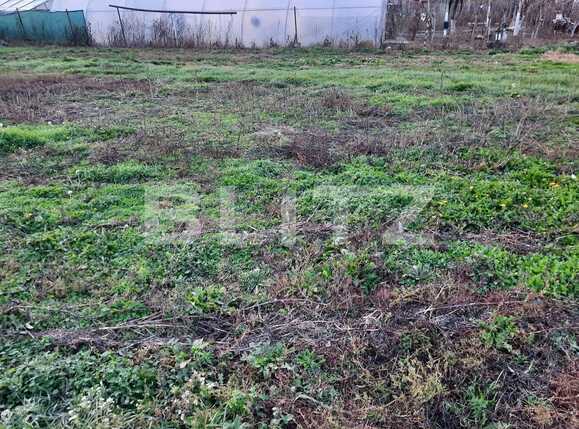 Casa de vânzare 2 camere Mosnita Noua - 76336CV | BLITZ Timișoara | Poza4