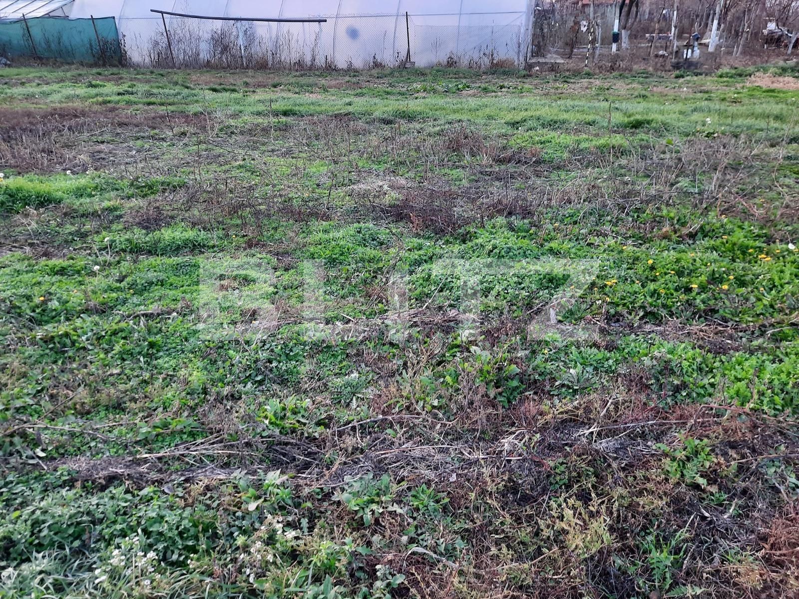 Casa de vânzare 2 camere Mosnita Noua - 76336CV | BLITZ Timișoara | Poza4