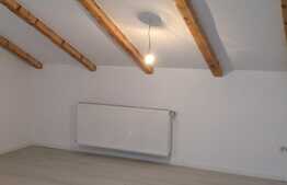 Duplex de vanzare, 179 mp utili, super pret, Mosnita Noua