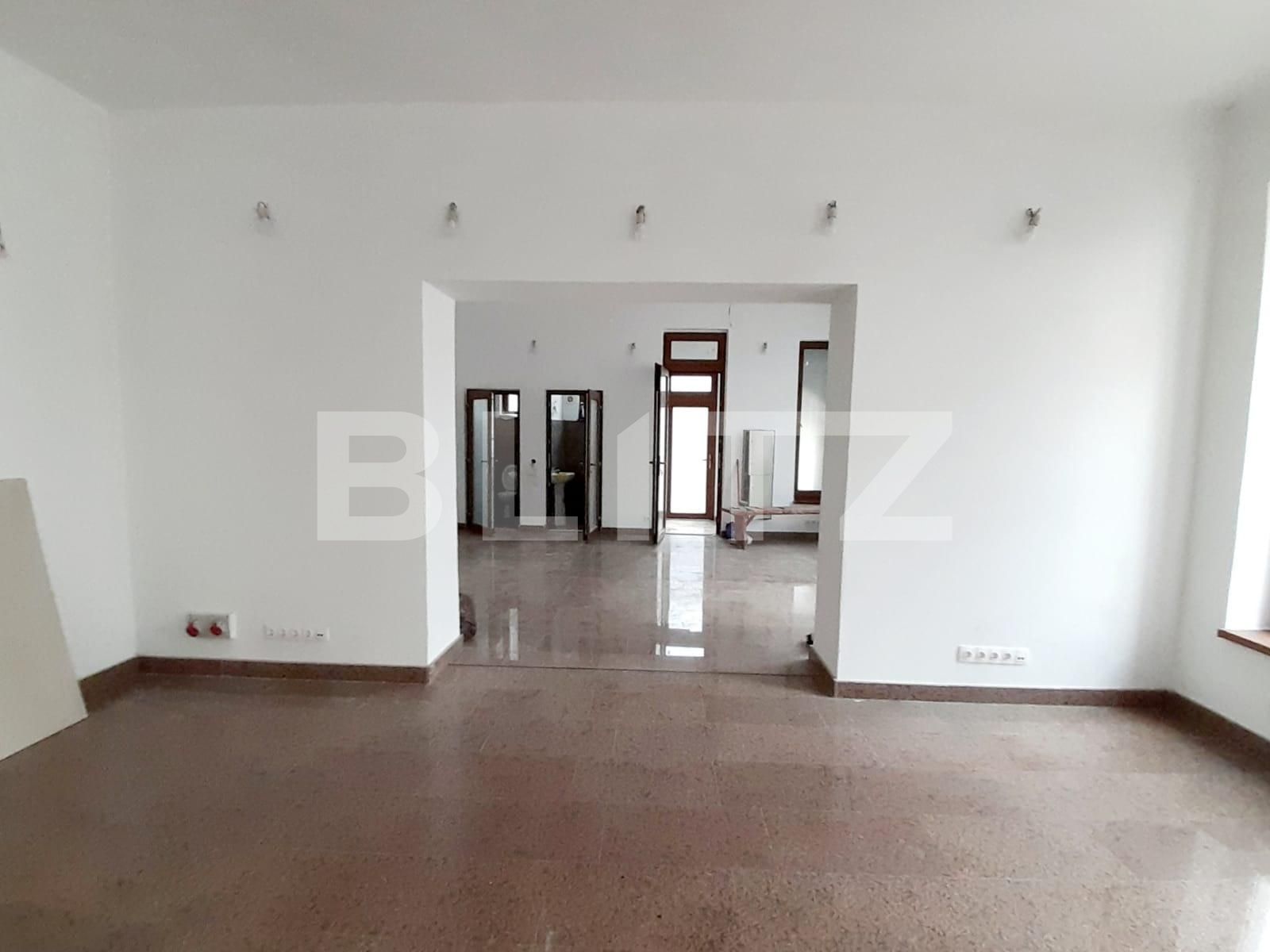 Spațiu comercial de închiriat Central - 76455SIC | BLITZ Timișoara | Poza3