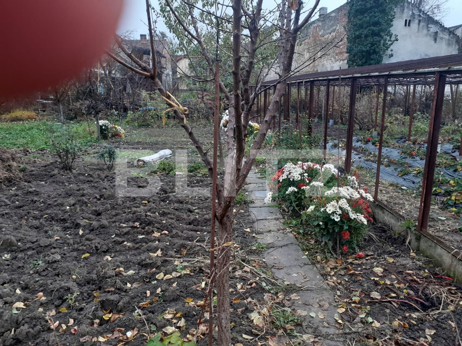 Teren de vânzare Elisabetin - 76477TV | BLITZ Timișoara | Poza2