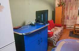 Garsoniera de 22 mp, partial mobilata, zona Kogalniceanu