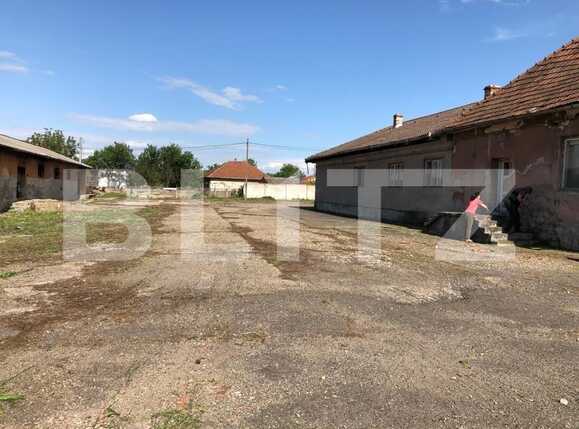 Spațiu comercial de vânzare Exterior Est - 76500SVC | BLITZ Timișoara | Poza11