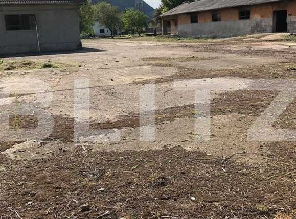 Spațiu comercial de vânzare Exterior Est - 76500SVC | BLITZ Timișoara | Poza12