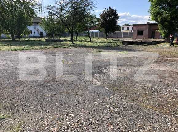 Spațiu comercial de vânzare Exterior Est - 76500SVC | BLITZ Timișoara | Poza2