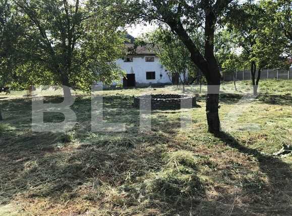 Spațiu comercial de vânzare Exterior Est - 76500SVC | BLITZ Timișoara | Poza14