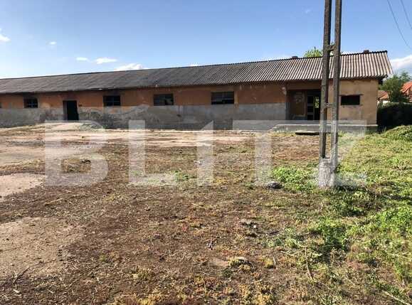 Spațiu comercial de vânzare Exterior Est - 76500SVC | BLITZ Timișoara | Poza17