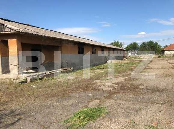 Spațiu comercial de vânzare Exterior Est - 76500SVC | BLITZ Timișoara | Poza8