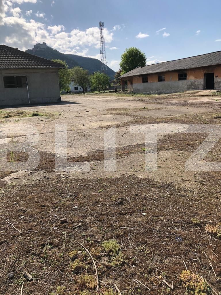 Spațiu comercial de vânzare Exterior Est - 76500SVC | BLITZ Timișoara | Poza12