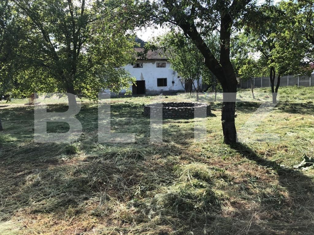 Spațiu comercial de vânzare Exterior Est - 76500SVC | BLITZ Timișoara | Poza14