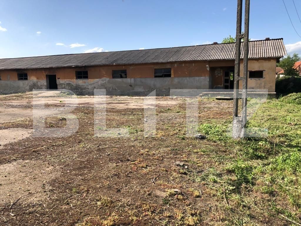 Spațiu comercial de vânzare Exterior Est - 76500SVC | BLITZ Timișoara | Poza17