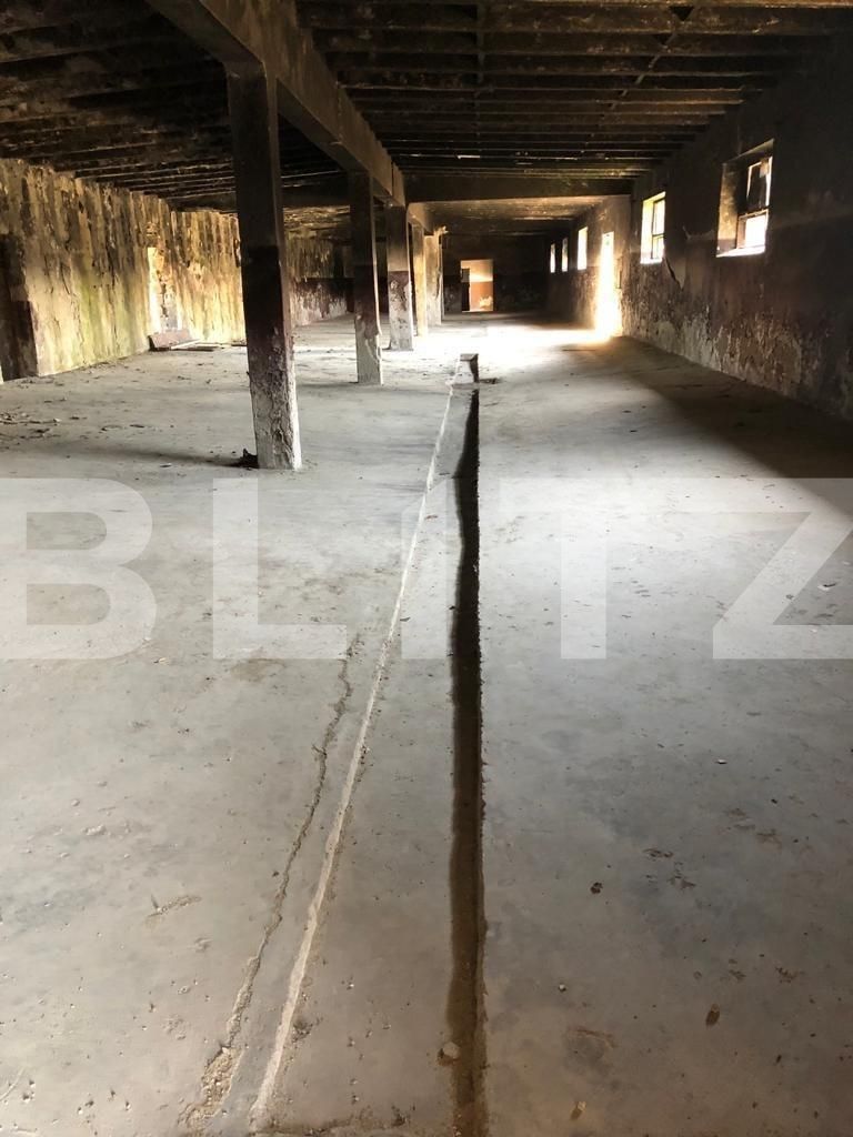 Spațiu comercial de vânzare Exterior Est - 76500SVC | BLITZ Timișoara | Poza15