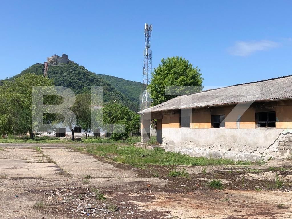 Spațiu comercial de vânzare Exterior Est - 76500SVC | BLITZ Timișoara | Poza13