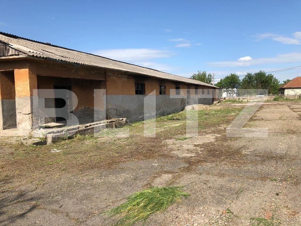 Spațiu comercial de vânzare Exterior Est - 76500SVC | BLITZ Timișoara | Poza8