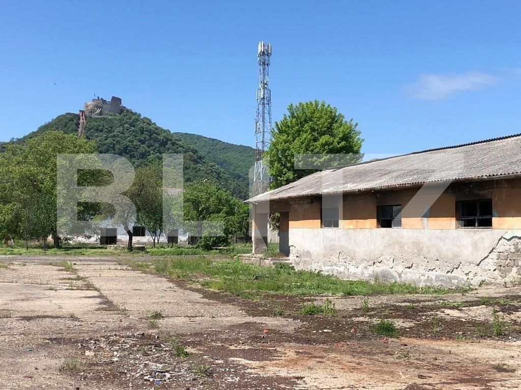 Spațiu comercial de vânzare Exterior Est - 76500SVC | BLITZ Timișoara | Poza3