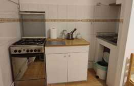 Garsoniera de inchiriat, 45 mp, utilata si mobilata, zona Calea Sagului