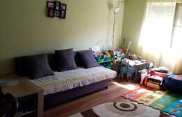 Apartament cu 2 camere, decomandat, 52 mp, etaj intermediar, Calea Lipovei