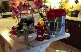 Casă cu suprafaţă utilă 200 mp şi teren de 464 mp în Mehala!