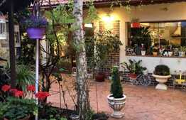 Casă cu suprafaţă utilă 200 mp şi teren de 464 mp în Mehala!