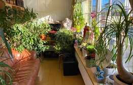 Casă cu suprafaţă utilă 200 mp şi teren de 464 mp în Mehala!