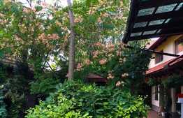 Casă cu suprafaţă utilă 200 mp şi teren de 464 mp în Mehala!