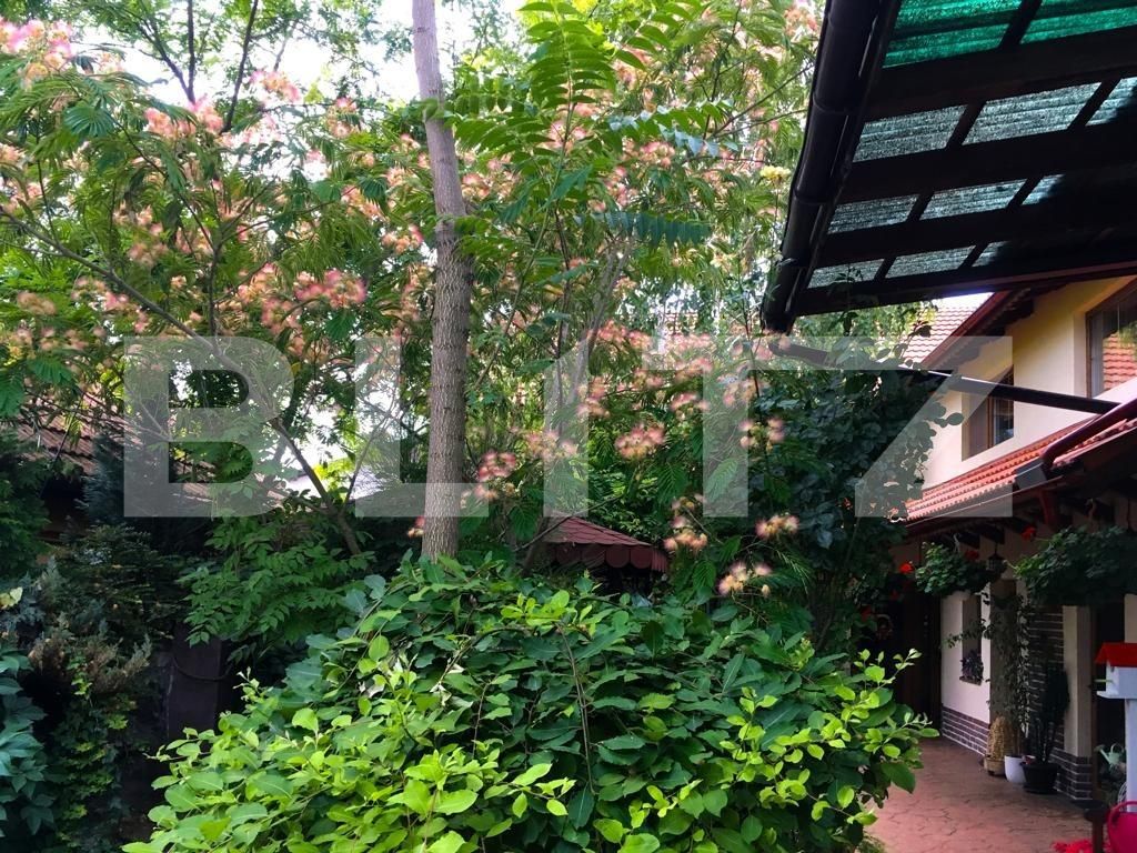 Casa de vânzare 7 camere Mehala - 76905CV | BLITZ Timișoara | Poza3