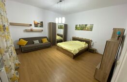 Apartament de 2 camere, 46 MP, modern, în zona Iosefin-Dambovita