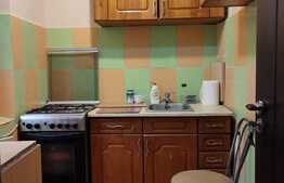 Inchiriere apartament de 2 camere pe 2 niveluri, in zona Lunei 