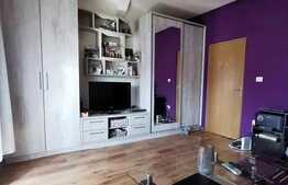 Garsonieră tinerească de 30 mp, la mansardă, în Calea Aradului