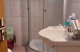 Garsonieră tinerească de 30 mp, la mansardă, în Calea Aradului