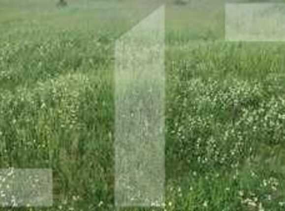 Teren de vânzare Sagului - 77193TV | BLITZ Timișoara | Poza2