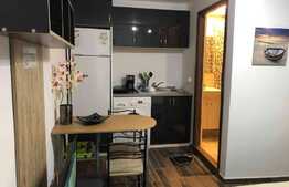 Casă cu 3 apartamente în zona Bălcescu! Investiţie ideală!