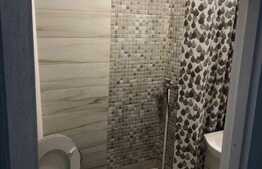 Casă cu 3 apartamente în zona Bălcescu! Investiţie ideală!