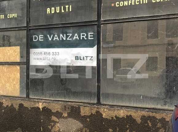 Casa de vânzare 10 camere Stefan cel Mare - 77262CV | BLITZ Timișoara | Poza1