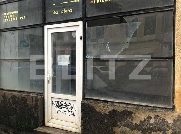 Casa de vânzare 10 camere Stefan cel Mare - 77262CV | BLITZ Timișoara | Poza2