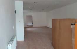 Spatiu comercial de inchiriat, zona Take Ionescu 