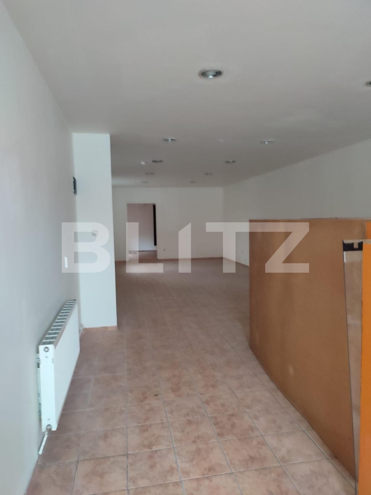 Spațiu comercial de închiriat Take Ionescu - 77404SIC | BLITZ Timișoara | Poza3