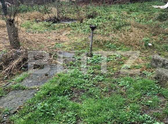 Casa de vânzare 2 camere Buziasului - 77503CV | BLITZ Timișoara | Poza3