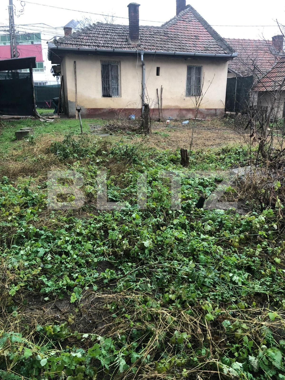Casa de vânzare 2 camere Buziasului - 77503CV | BLITZ Timișoara | Poza1