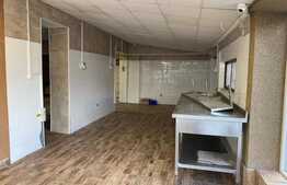 Spatiu comercial, 255 mp, zona Complexului Studentesc