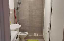 Apartament de 2 camere, pet friendly, in Girocului 