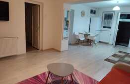 Apartament de 2 camere, pet friendly, in Girocului 