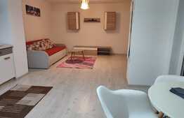 Apartament de 2 camere, pet friendly, in Girocului 