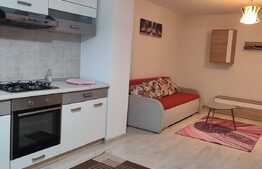 Apartament de 2 camere, pet friendly, in Girocului 