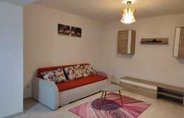 Apartament de 2 camere, pet friendly, in Girocului 