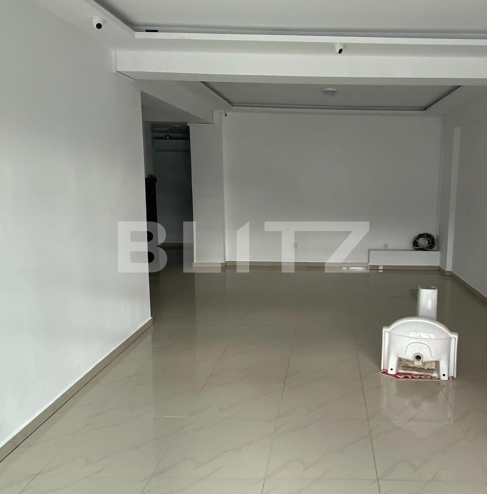Spațiu comercial de închiriat Cetatii - 77553SIC | BLITZ Timișoara | Poza2