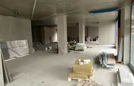 Spatiu comercial, front stradal si vitrina, 300 mp, zona Dambovita/Sagului