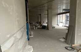 Spatiu comercial, front stradal si vitrina, 300 mp, zona Dambovita/Sagului